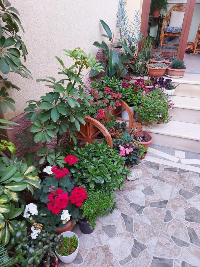 Vila Kodra Tirana Exterior foto